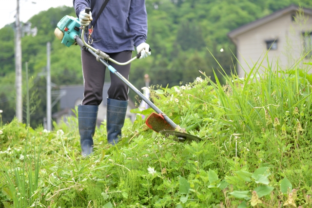 熊谷市で草刈りに最適な年3回の時期～楽に草刈りを終えるコツまで徹底解説