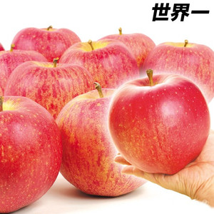 【限定5名】1玉500g超!!世界一大きなリンゴ(5kg1箱) 片付け110番プレゼント！