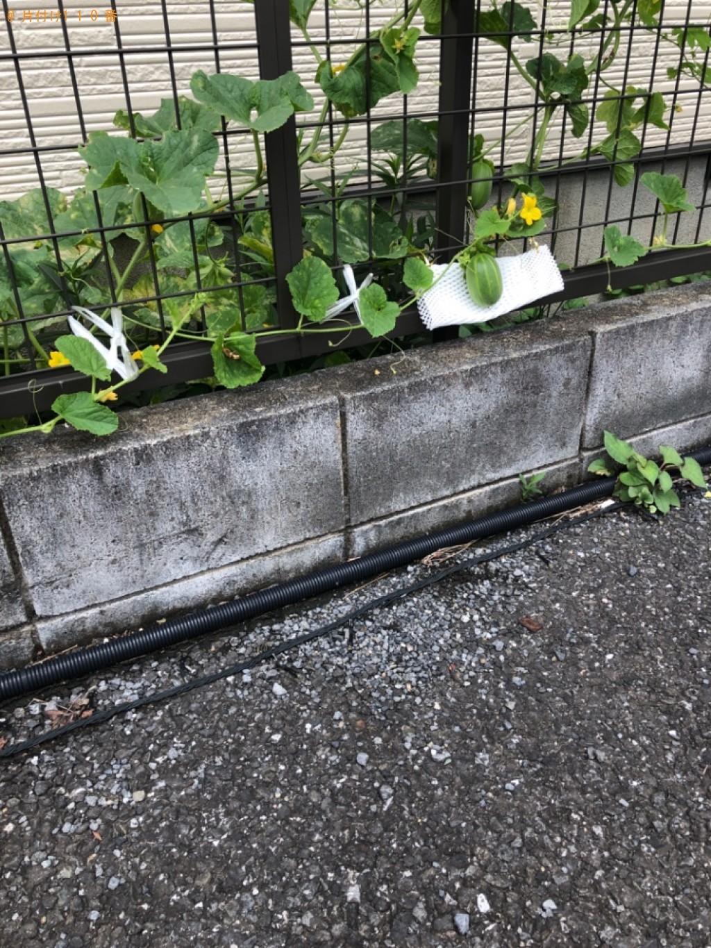 【熊谷市伊勢町】金庫の回収・処分ご依頼 お客様の声