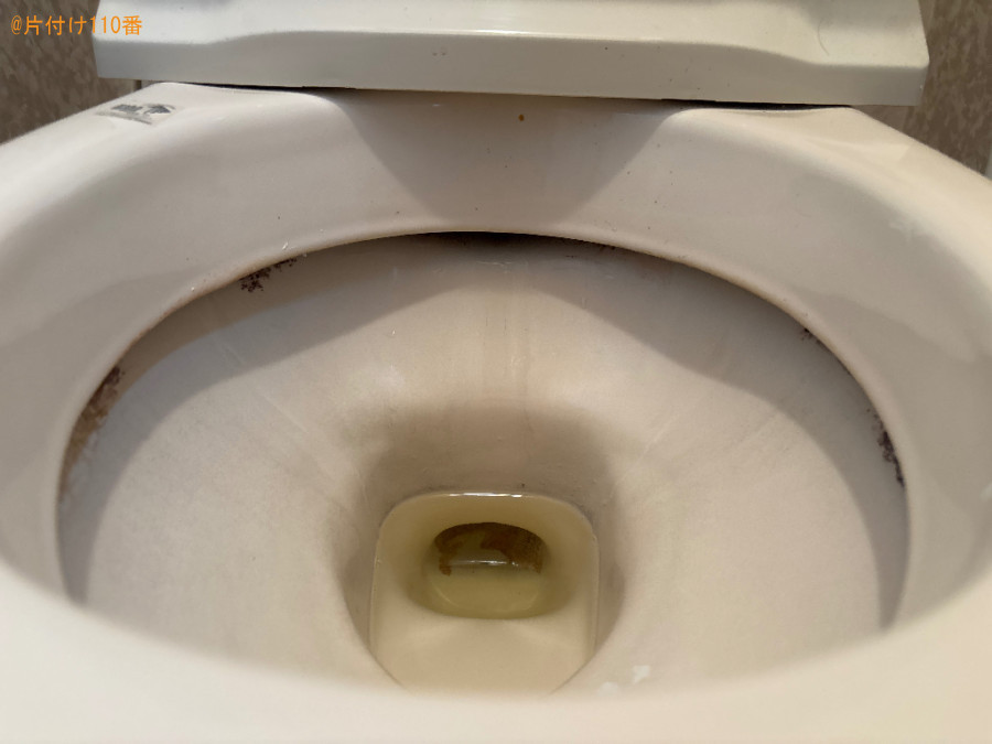 【羽生市】洋式トイレクリーニングのご依頼 お客様の声